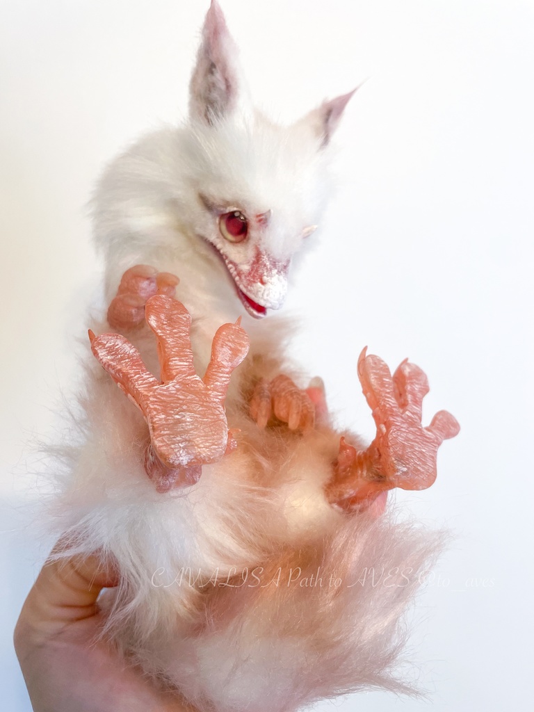 アルビノユウティラヌス