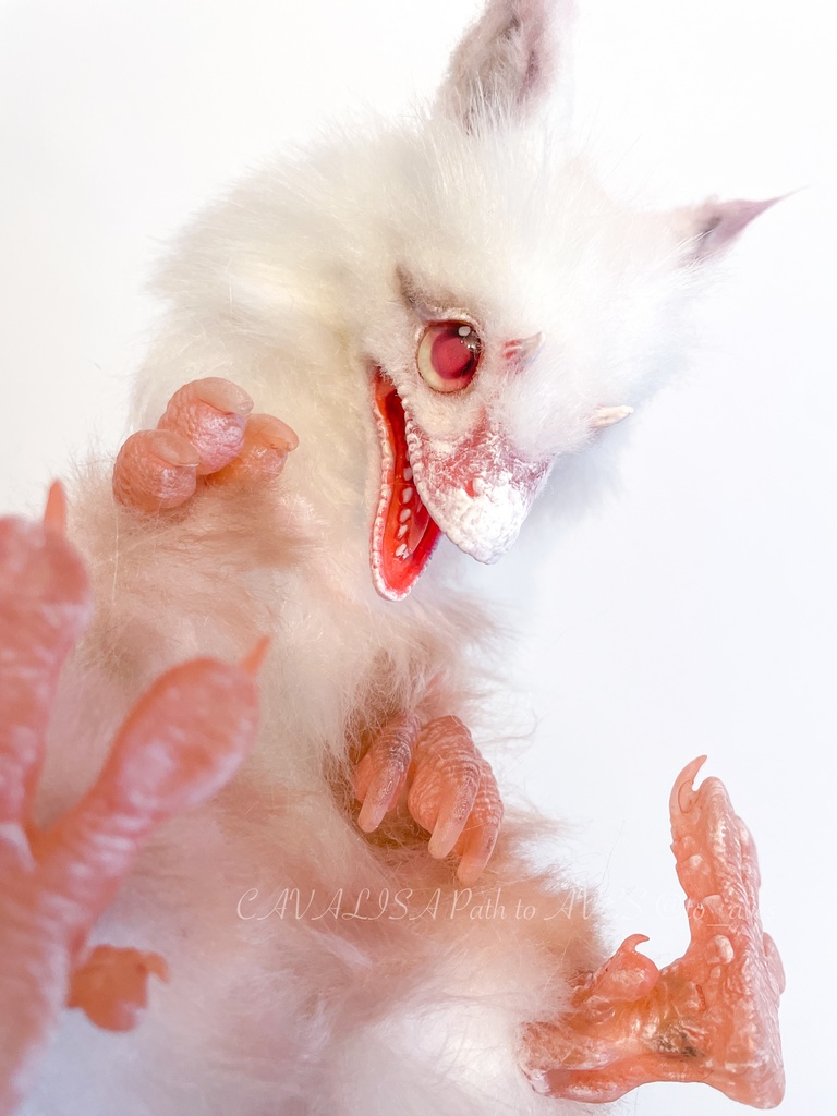 アルビノユウティラヌス