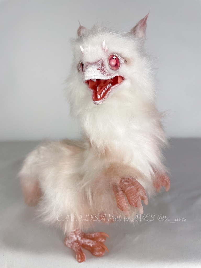 アルビノユウティラヌス