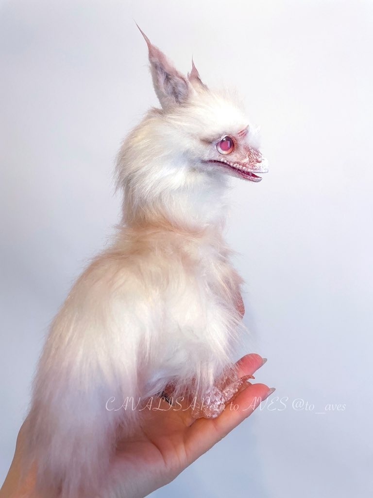 アルビノユウティラヌス