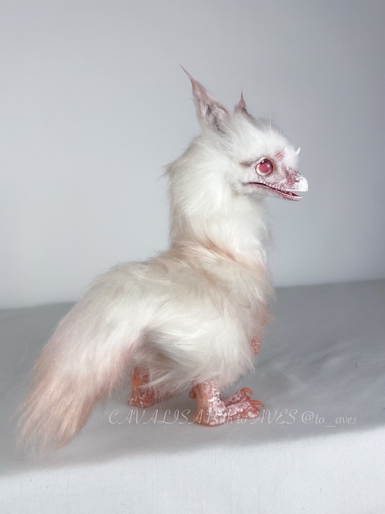 アルビノユウティラヌス