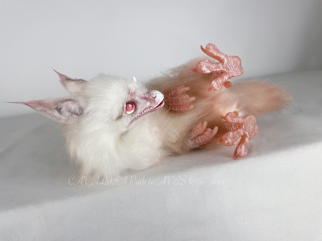 アルビノユウティラヌス