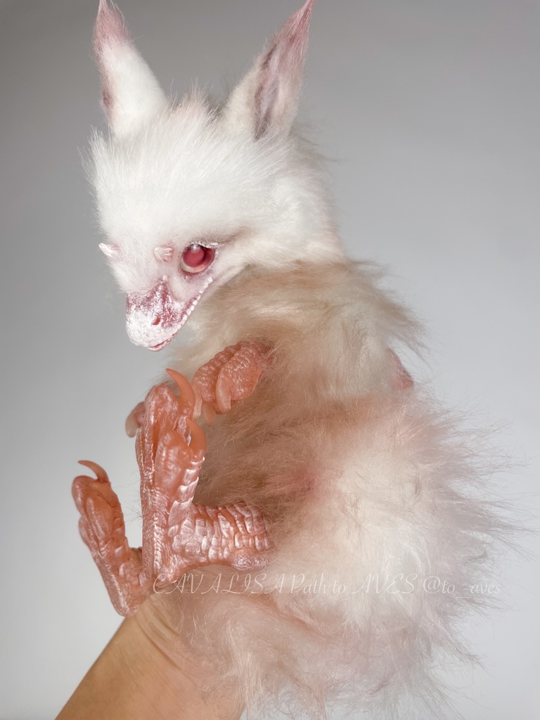 アルビノユウティラヌス