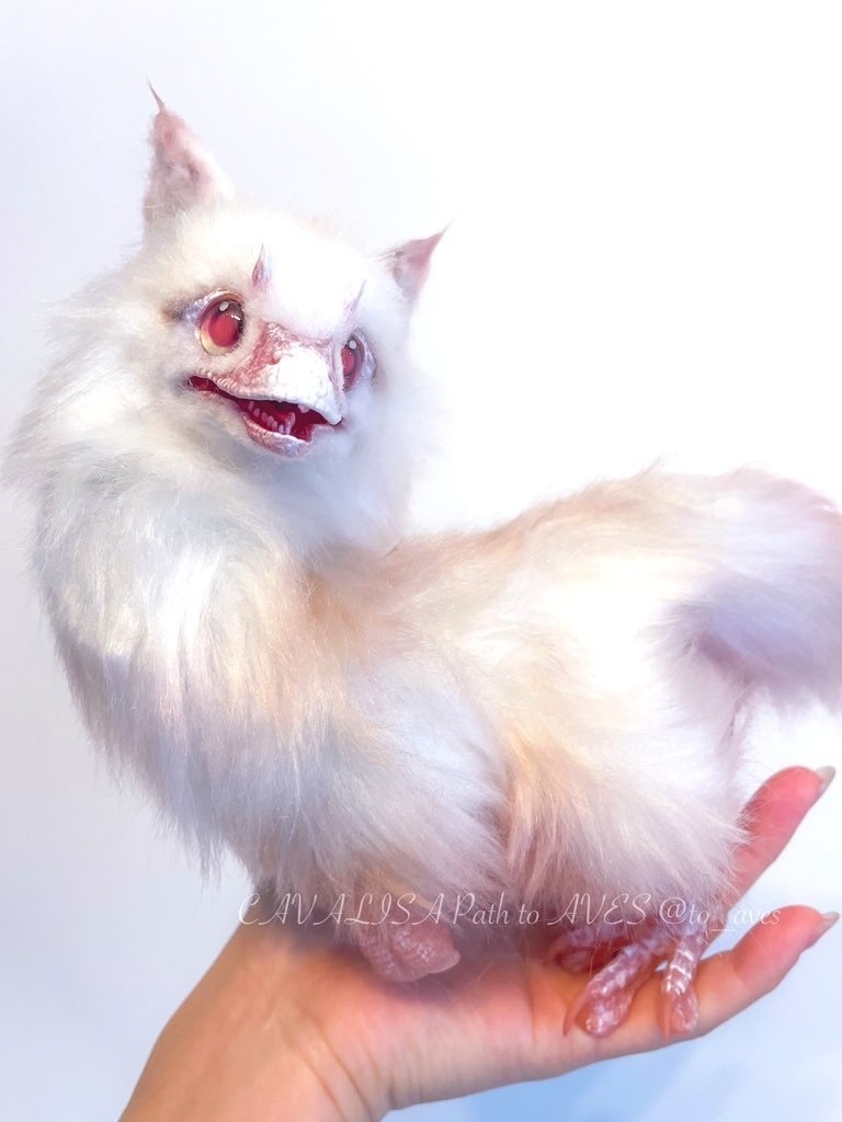 アルビノユウティラヌス