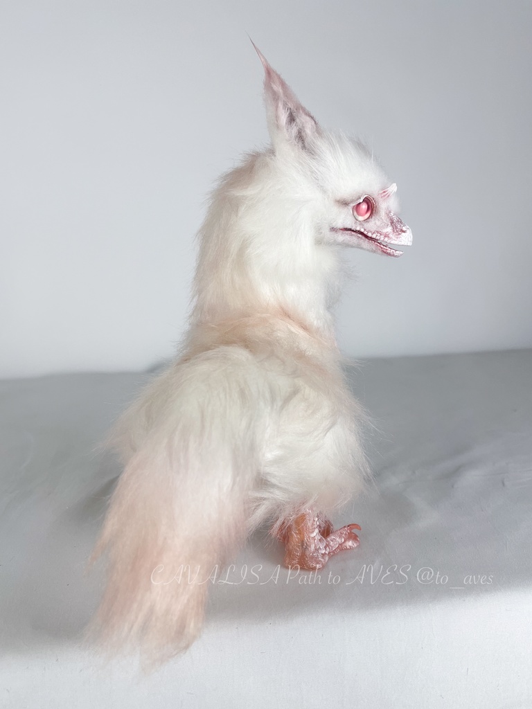 アルビノユウティラヌス