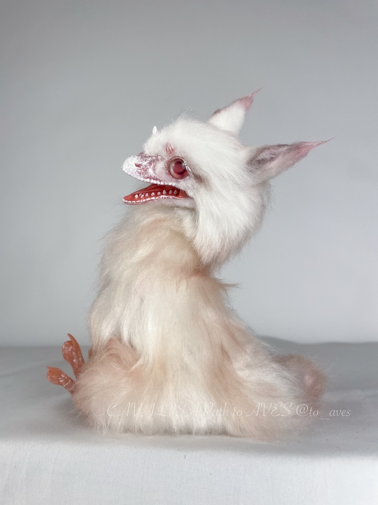 アルビノユウティラヌス