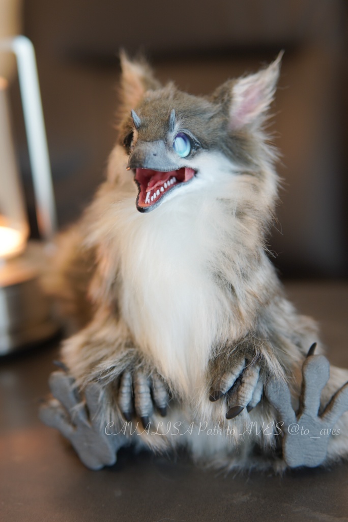 ユウティラヌス・フアリ