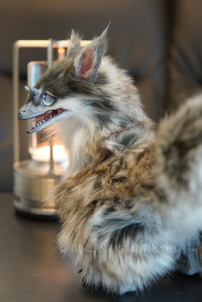 ユウティラヌス・フアリ