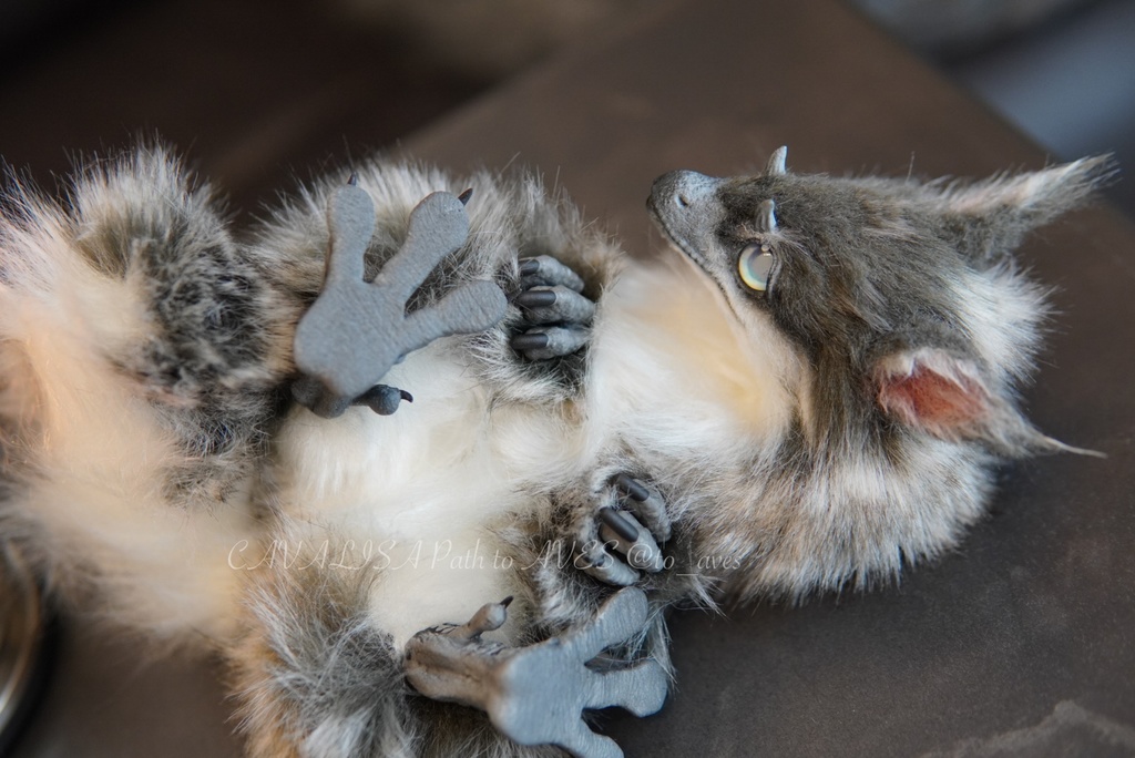 ユウティラヌス・フアリ