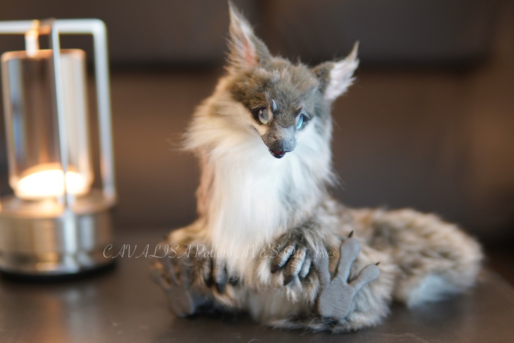 ユウティラヌス・フアリ