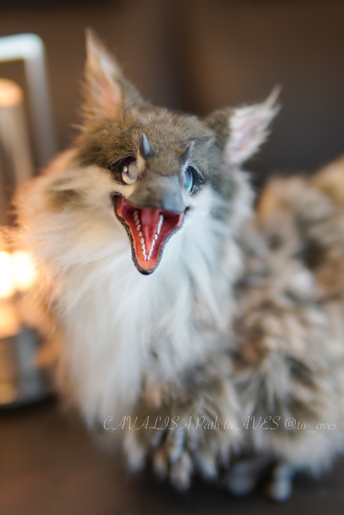 ユウティラヌス・フアリ