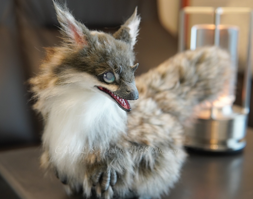 ユウティラヌス・フアリ