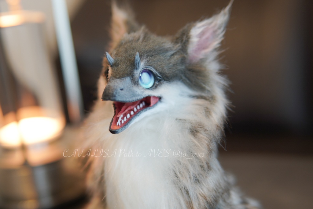 ユウティラヌス・フアリ