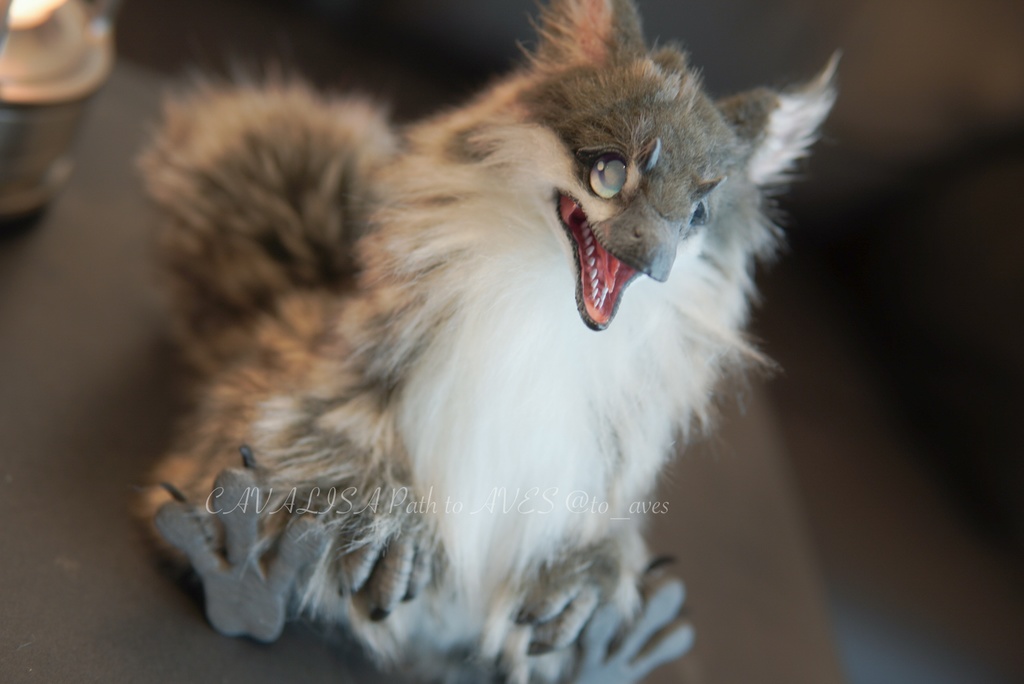 ユウティラヌス・フアリ