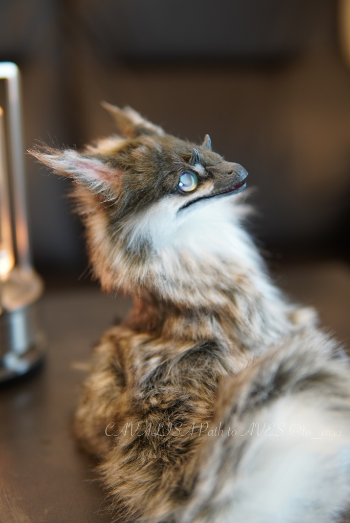 ユウティラヌス・フアリ