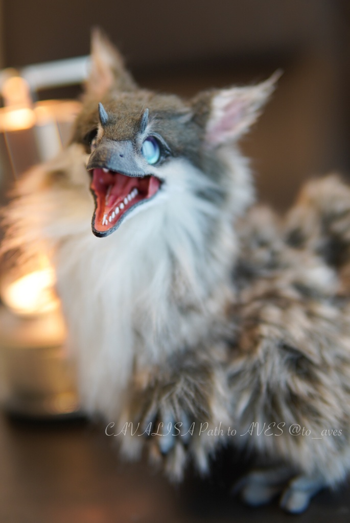 ユウティラヌス・フアリ