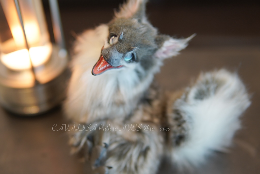 ユウティラヌス・フアリ