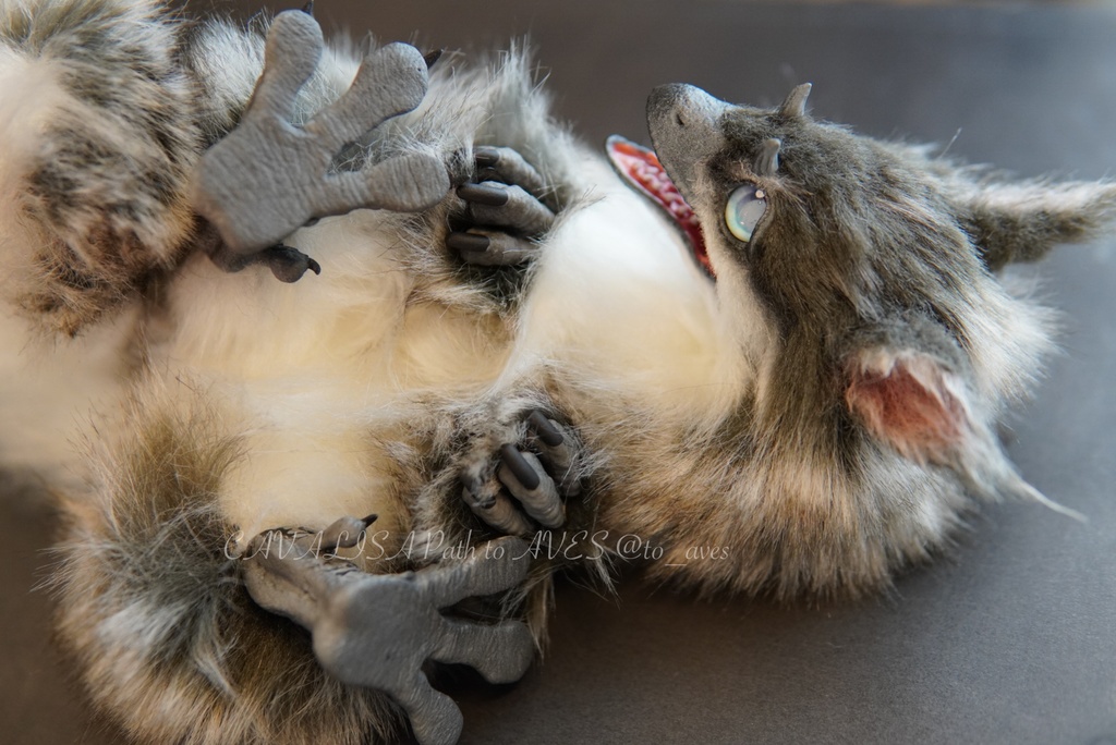 ユウティラヌス・フアリ