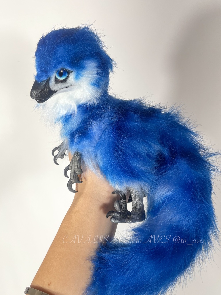 ベビーラプトル