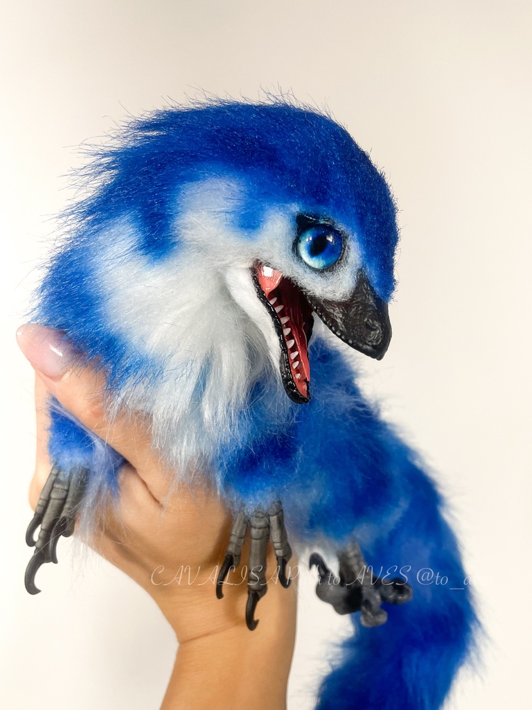 ベビーラプトル