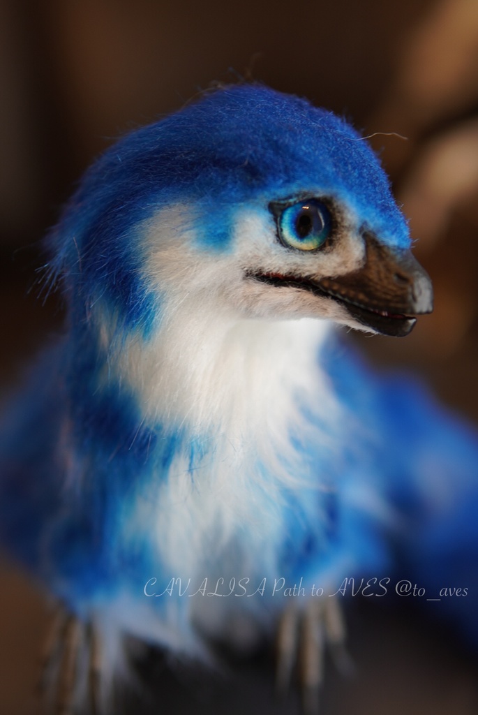 ベビーラプトル