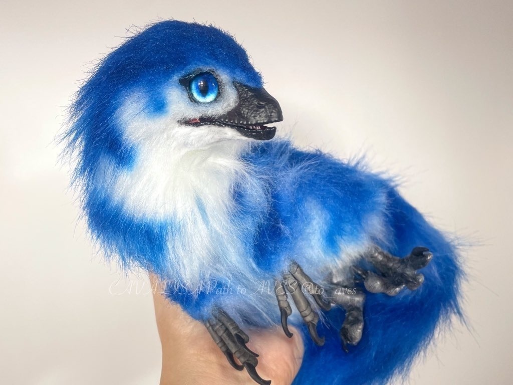 ベビーラプトル