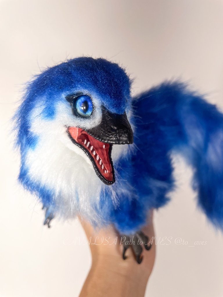 ベビーラプトル