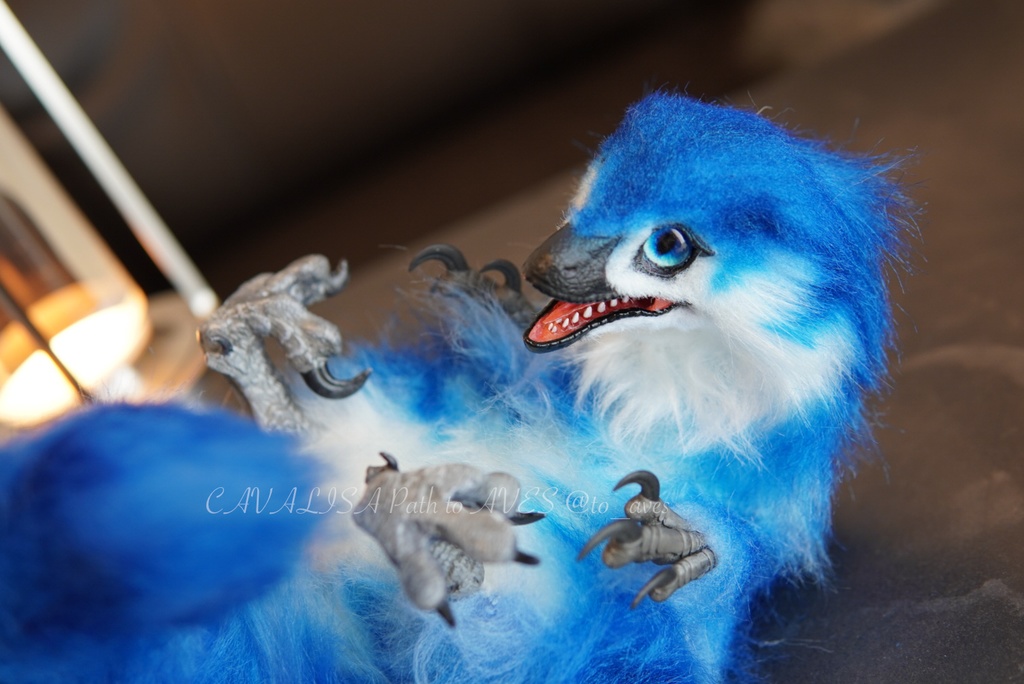 ベビーラプトル