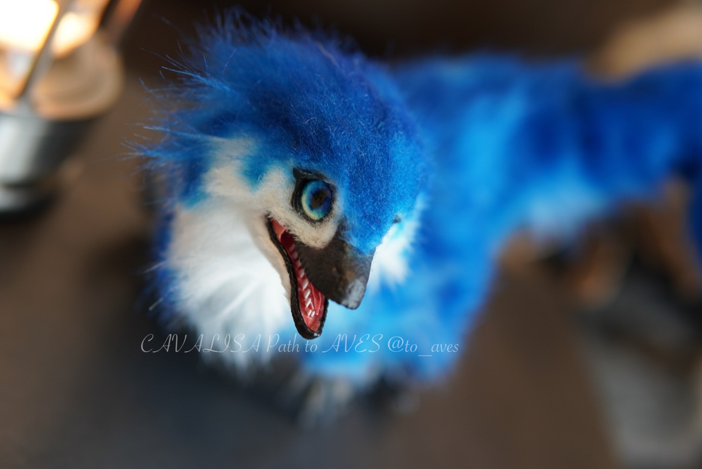 ベビーラプトル