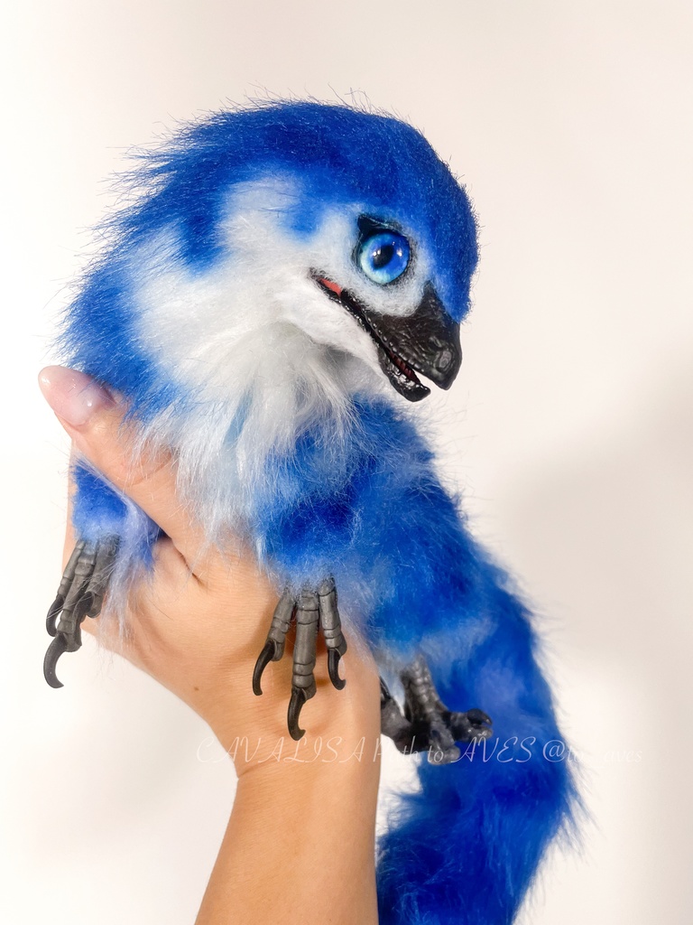 ベビーラプトル