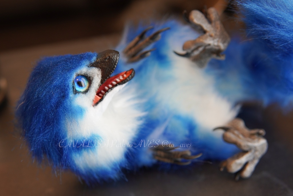 ベビーラプトル