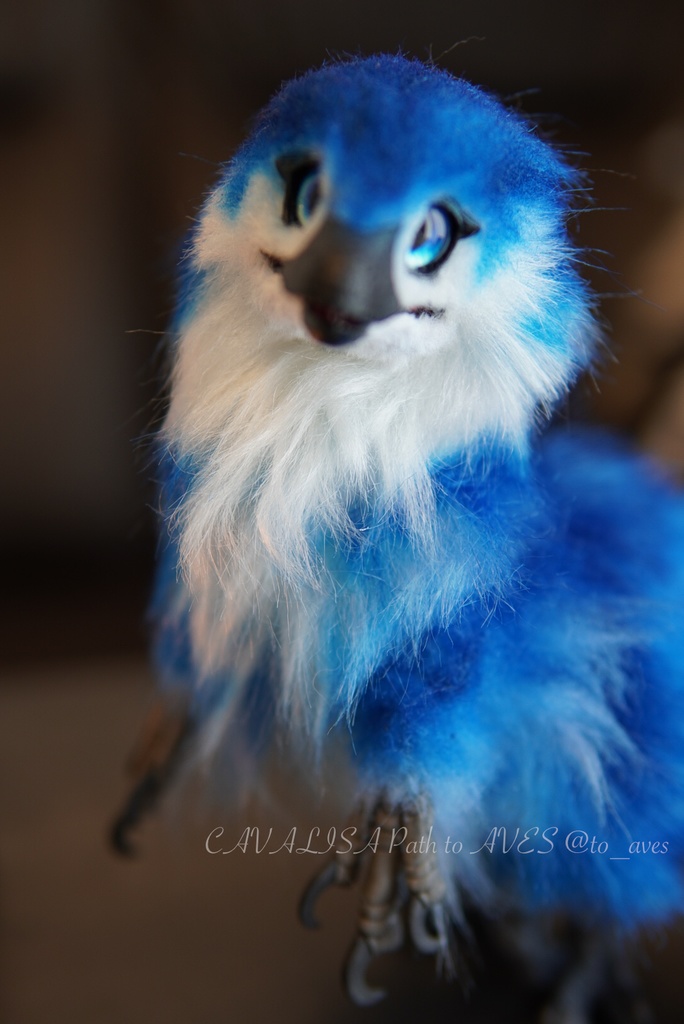 ベビーラプトル