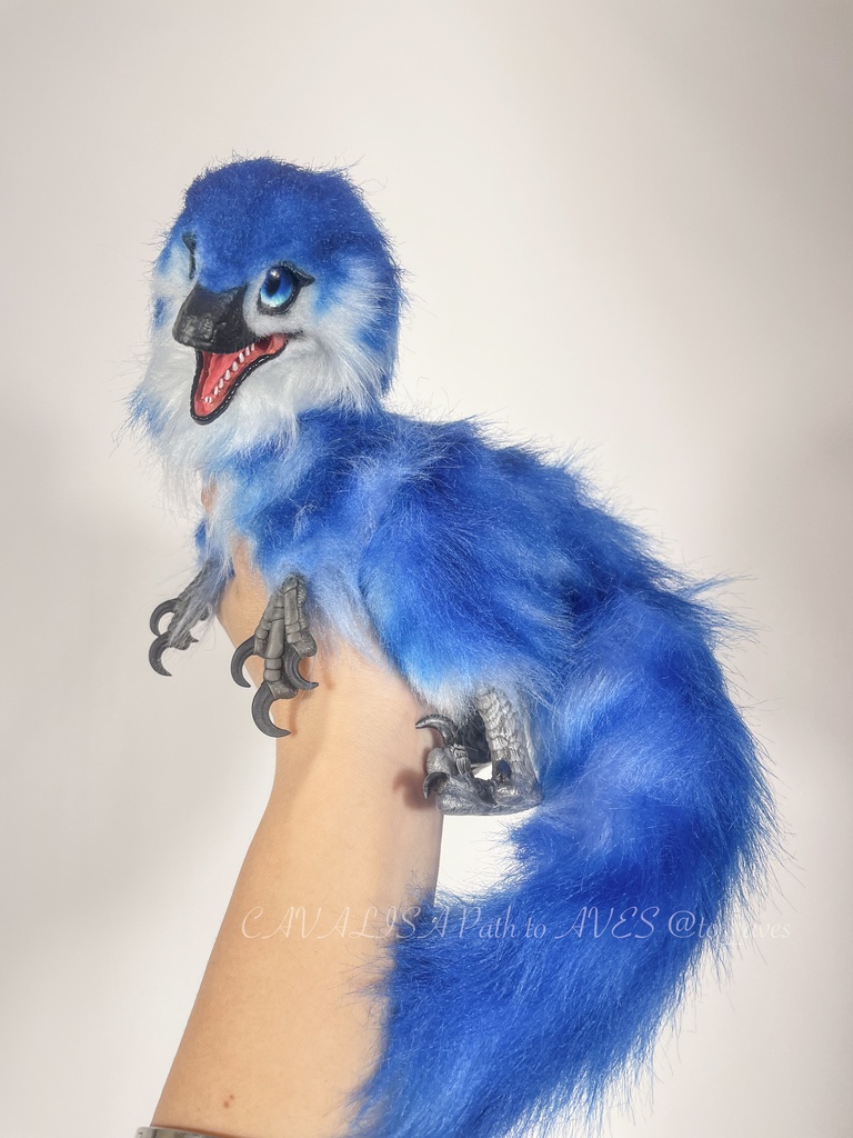 ベビーラプトル