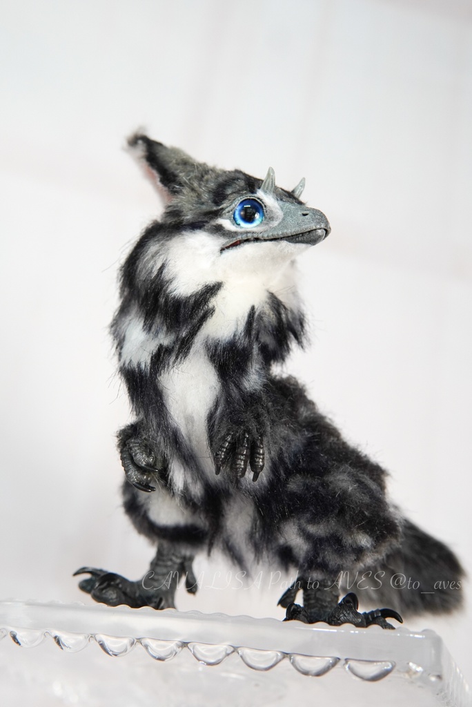 ユウティラヌス