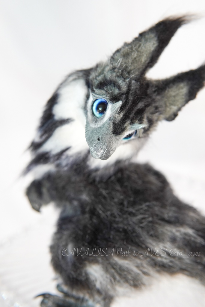 ユウティラヌス