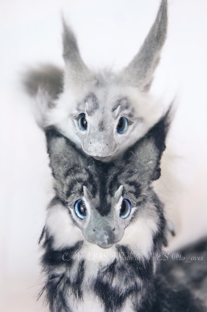 ユウティラヌス