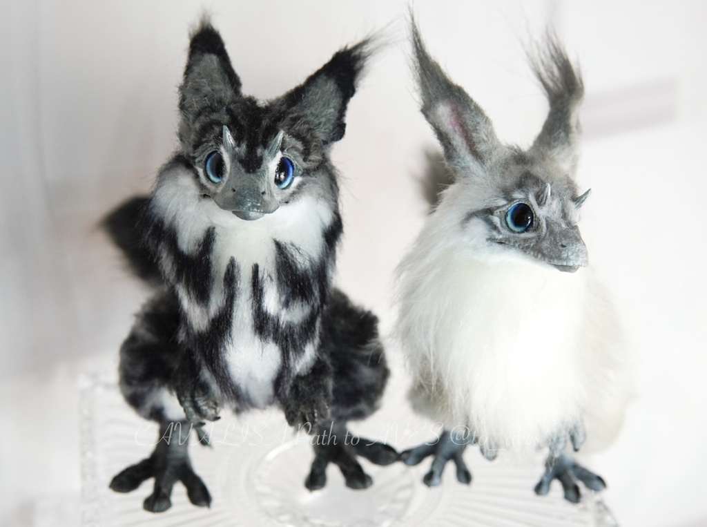 ユウティラヌス