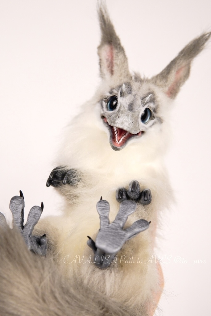 【7/6(日)20時 販売開始】ユウティラヌス