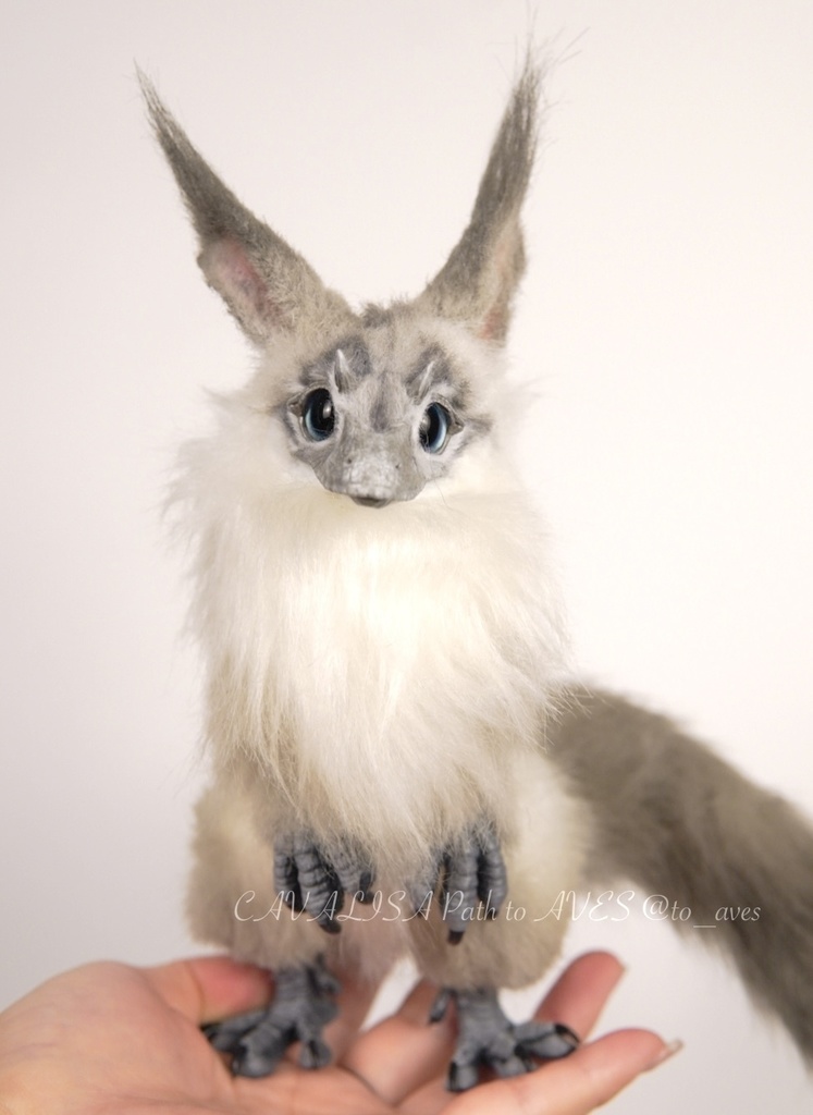 【7/6(日)20時 販売開始】ユウティラヌス