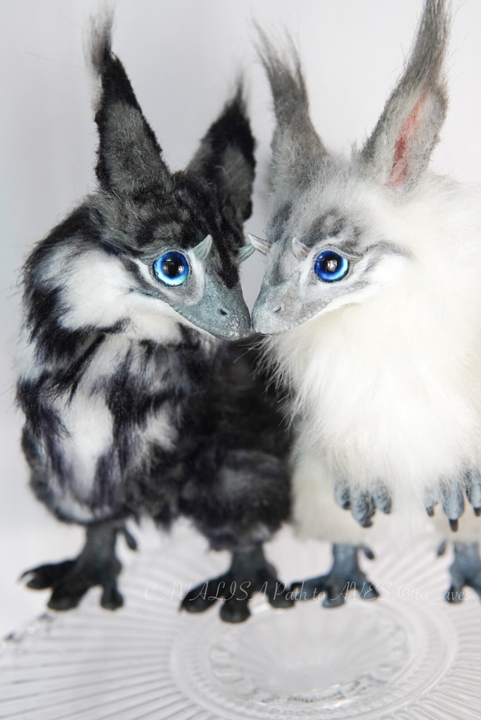 【7/6(日)20時 販売開始】ユウティラヌス