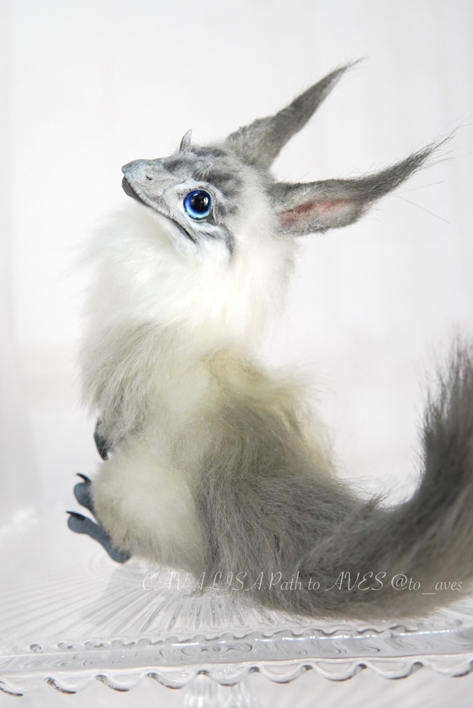 【7/6(日)20時 販売開始】ユウティラヌス