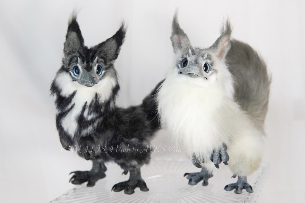 【7/6(日)20時 販売開始】ユウティラヌス