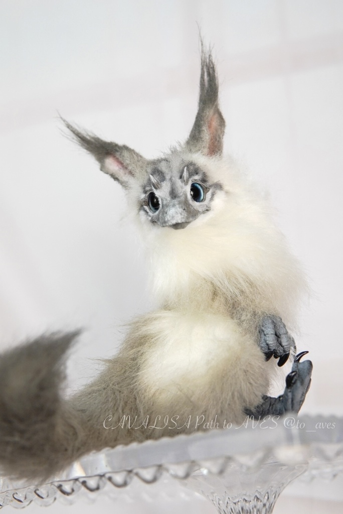 【7/6(日)20時 販売開始】ユウティラヌス