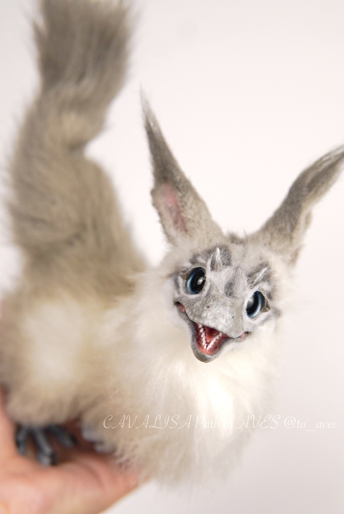 【7/6(日)20時 販売開始】ユウティラヌス