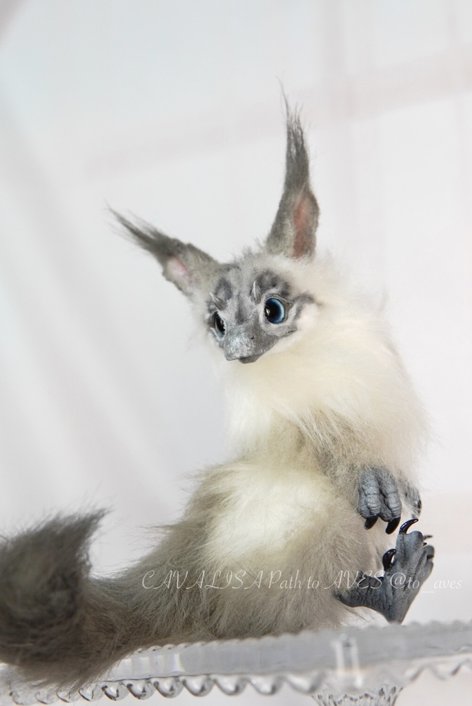 【7/6(日)20時 販売開始】ユウティラヌス