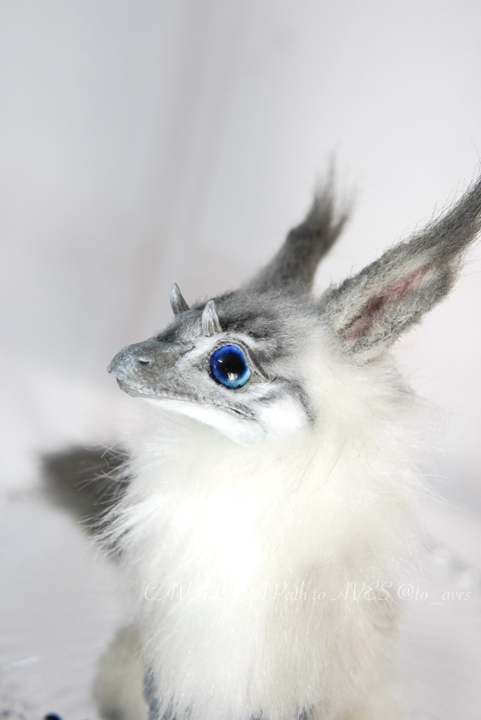 【7/6(日)20時 販売開始】ユウティラヌス