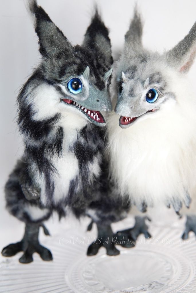 【7/6(日)20時 販売開始】ユウティラヌス