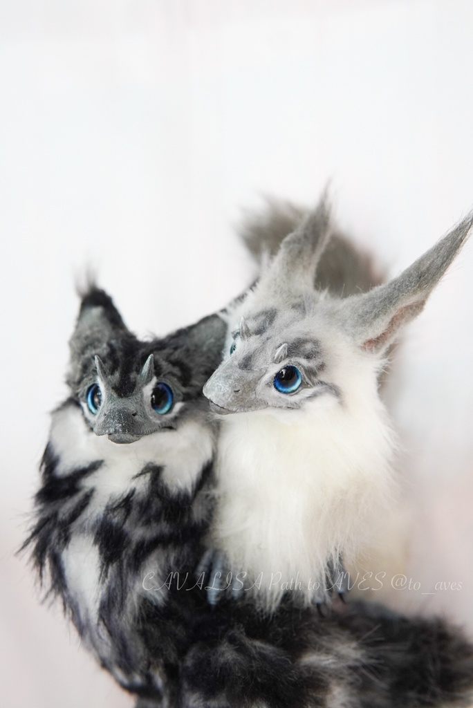 【7/6(日)20時 販売開始】ユウティラヌス