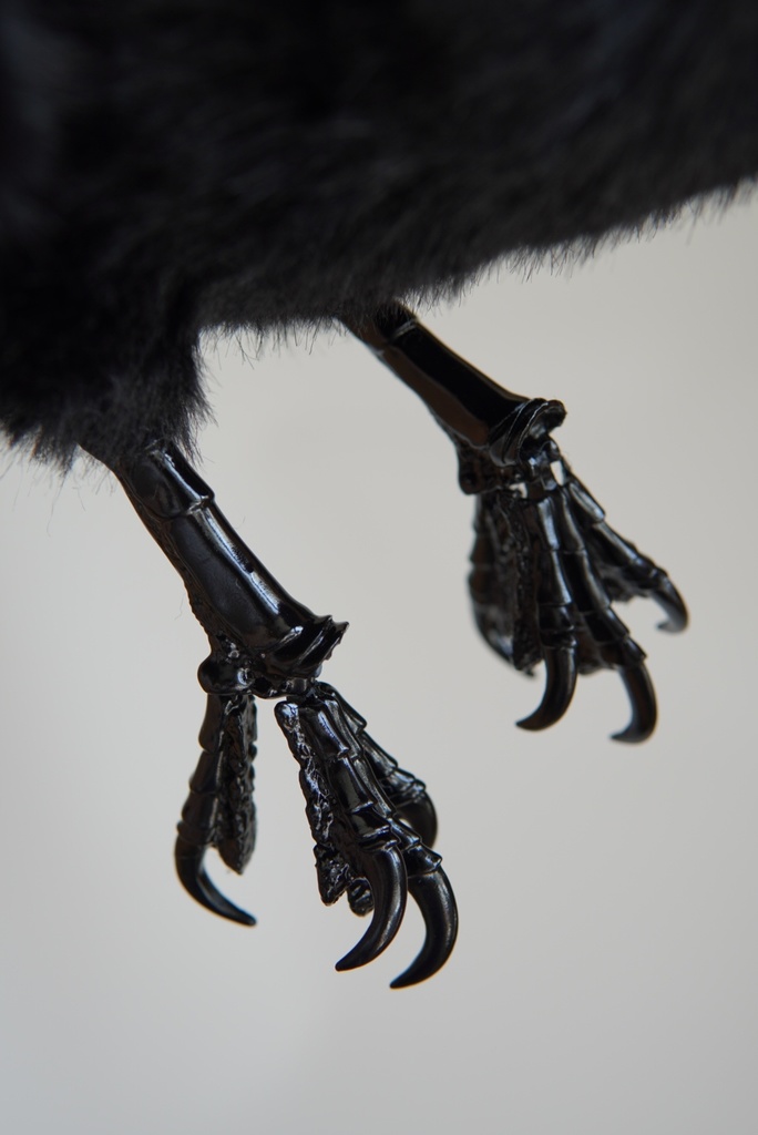 ハシボソガラス