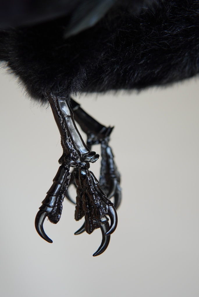 ハシボソガラス